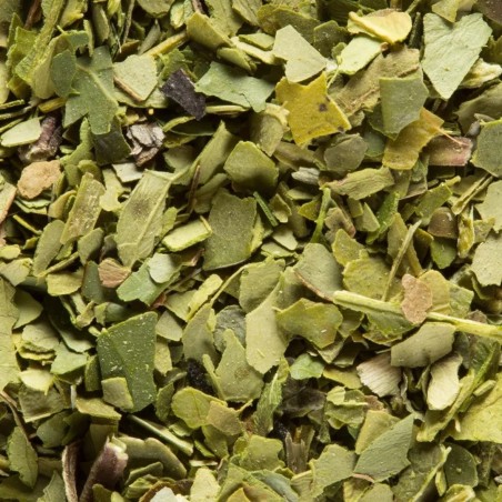 MATÉ