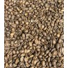 CAFE BRESIL - YELLOW BOURBON RAIHNA