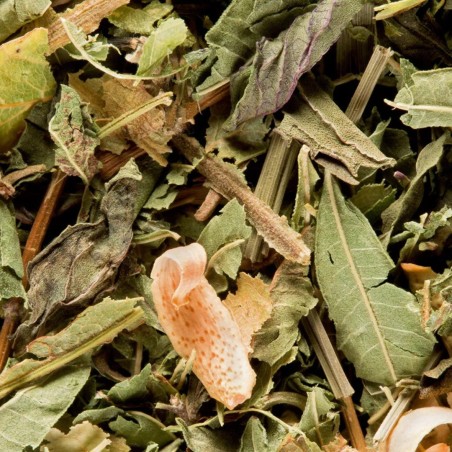 TISANE DU BERGER