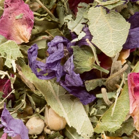 TISANE DES MERVEILLES