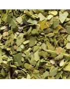 MATÉ